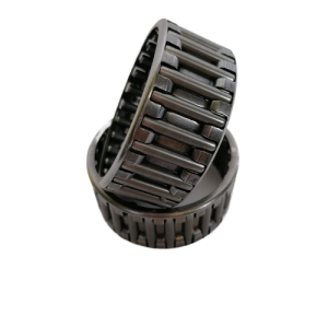 27956 1-fotor-bg-remover-2023110812119