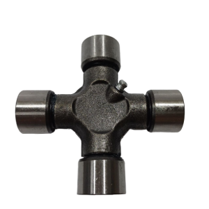 46785 3-fotor-bg-remover-20240409123324