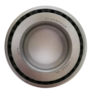 144987-fotor-bg-remover-20231114121343