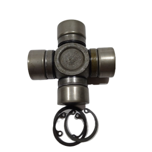 46217 4-fotor-bg-remover-20240409121817