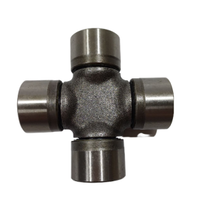 46453 3-fotor-bg-remover-20240409114129