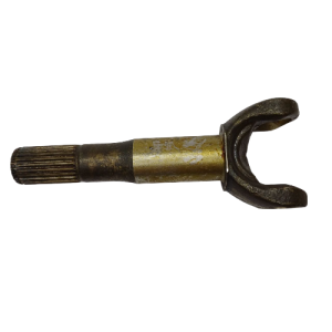 40821 3-fotor-bg-remover-20240503122444