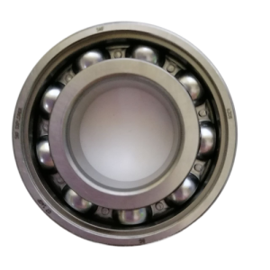 25818-fotor-bg-remover-20231108121818