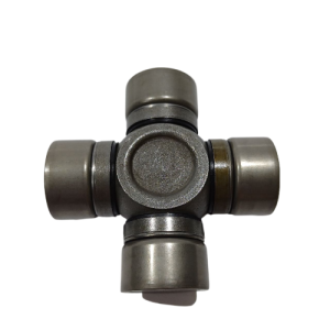 46217 2-fotor-bg-remover-20240409121855