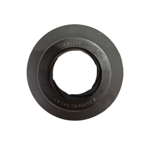 45167 2-fotor-bg-remover-202405161670