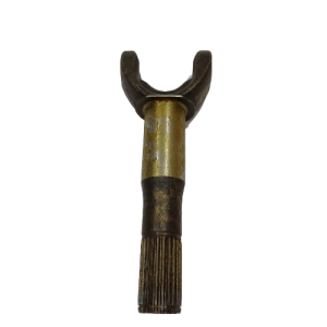 40821 2-fotor-bg-remover-20240503122450