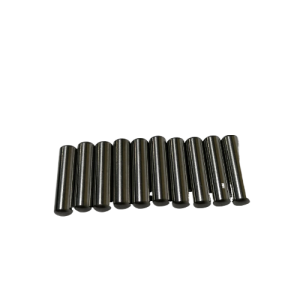 28301-fotor-bg-remover-20231114124323