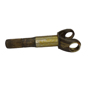 40821 4-fotor-bg-remover-20240503122257