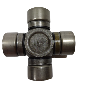 46217 3-fotor-bg-remover-20240409121848